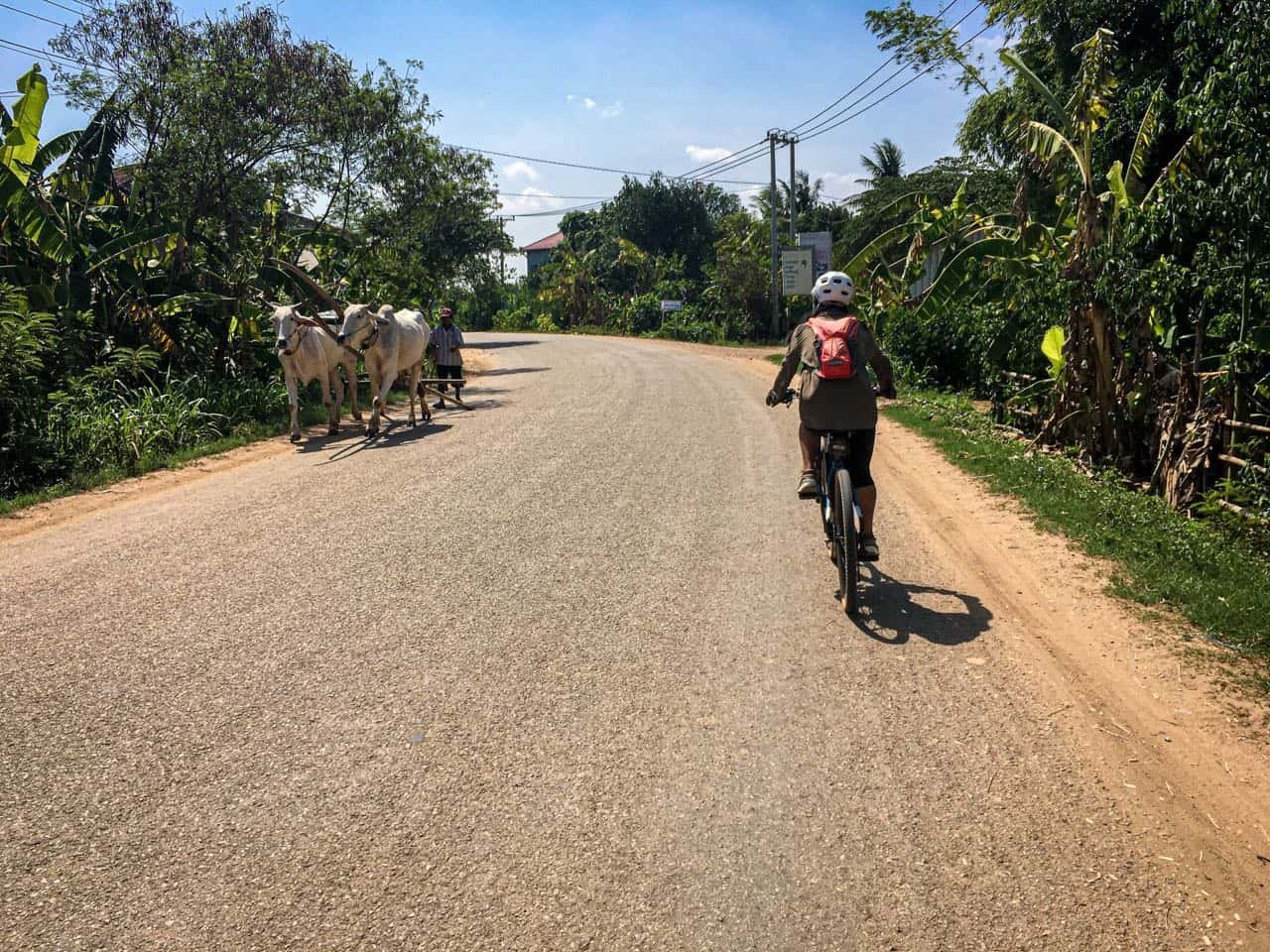 Cambodia Gravel Cycling Tour